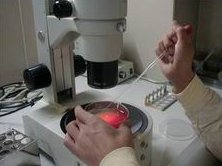 2026中山一院试管婴儿费用详解，促排／助孕不到5万元