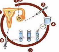 2026南京十佳助孕公司名单，您信任哪一家