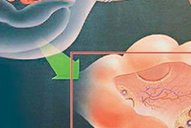 2026山东济南十佳助孕公司名单，助你顺利求子！