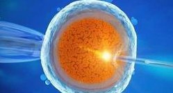 2026大连最大的助孕机构排行榜已公布，专业助孕公司护您好孕来