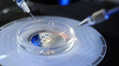 2026合肥助孕机构排行：十大优质机构哪家更胜一筹？